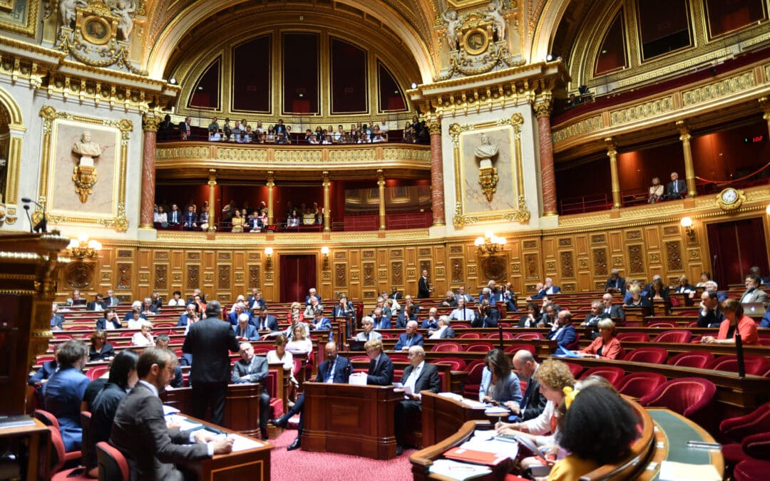 Le serpent énergétique des anti-renouvelables : Instrumentaliser une dépendance à la chine pour masquer l’extrême dépendance aux énergies fossiles importées