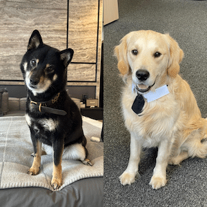 Nouki & Charlie
