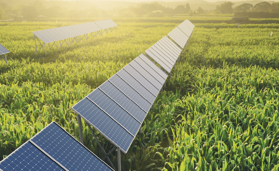 Agrivoltaïsme : une charte nationale pour des projets territoriaux et concertés